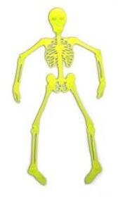 Opakowanie Świecący Szkieletor 92 cm