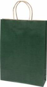 Opakowanie Torba prezentowa średnia Eko zielona