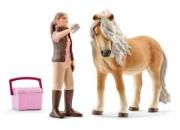 Opakowanie Zestaw czyszczenie Klaczy Islandkich