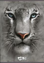 Opakowanie Zeszyt A5 Wild w linie 60 kartek Lew