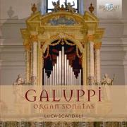 Galuppi Organ Sonatas. Wydawca: Brilliant Classics. Dadada.pl Opakowanie Galuppi Organ Sonatas