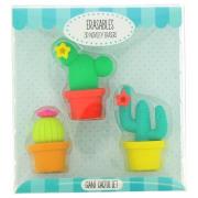 Opakowanie Gumki do mazania - Kaktusy