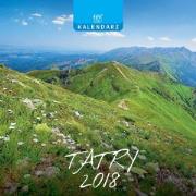 Opakowanie Kalendarz 13 Plansz kwadratowy - Tatry