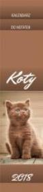 Opakowanie Kalendarz 13 Plansz paskowy - Koty