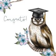 Opakowanie Karnet Swarovski kwadrat CL0309