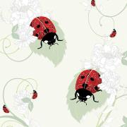 Opakowanie Karnet Swarovski kwadrat CL0502