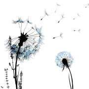 Opakowanie Karnet Swarovski kwadrat CL1208