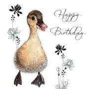 Opakowanie Karnet Swarovski kwadrat CL1214 Urodziny - Kaczka