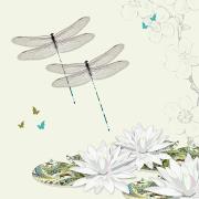 Opakowanie Karnet Swarovski kwadrat CL1214_BL