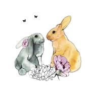 Opakowanie Karnet Swarovski kwadrat CL1223