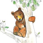 Opakowanie Karnet Swarovski kwadrat Niedźwiadek