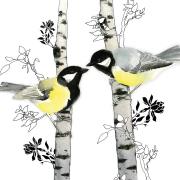 Opakowanie Karnet Swarovski kwadrat Ptaszki na drzewach