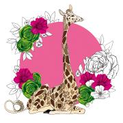 Opakowanie Karnet Swarovski kwadrat Żyrafa kwiaty CL1427