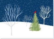 Opakowanie Karnety świątczne Delux Kardynał o północy (20szt)