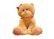 Opakowanie Kot Cuties 25 cm