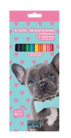 Opakowanie Kredki akwarelowe Studio pets