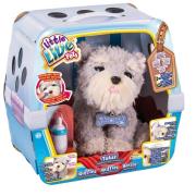 Opakowanie Little Live Pets Tuluś 2 rodzaje