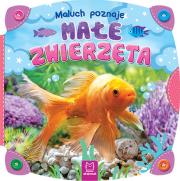 Maluch poznaje małe zwierzęta. Autor: Opracowanie zbiorowe. Dadada.pl Okładka książki Maluch poznaje małe zwierzęta