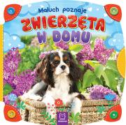 Maluch poznaje zwierzęta w domu. Autor: Opracowanie zbiorowe. Dadada.pl Okładka książki Maluch poznaje zwierzęta w domu