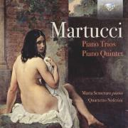 Martucci: Piano Trios/Piano Quartet. Wydawca: Brilliant Classics. Dadada.pl Opakowanie Martucci: Piano Trios/Piano Quartet