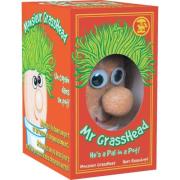 Opakowanie Pan Trawowłosy Mr Grasshead