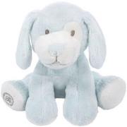 Opakowanie Piesek Gabriel niebieski 20cm