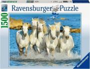Opakowanie Puzzle 1500 Orzeźwiający galop