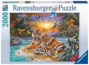 Opakowanie Puzzle Rodzina tygrysów  2000