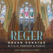 Reger Organ Sonatas. Wydawca: Brilliant Classics. Dadada.pl Opakowanie Reger Organ Sonatas