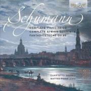 Schumann: Complete Piano Trios And String Quartets. Wydawca: Brilliant Classics. Dadada.pl Opakowanie Schumann: Complete Piano Trios And String Quartets
