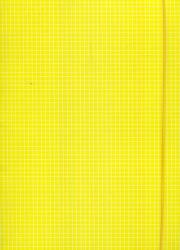 Opakowanie Teczka z gumką A4 żółta w kratę