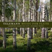 Teleman Flute Concertos. Wydawca: Brilliant Classics. Dadada.pl Opakowanie Teleman Flute Concertos