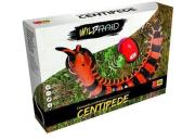 Opakowanie Wildroid Stonoga