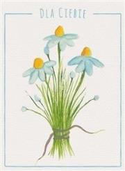 Opakowanie Karnet B6 Kwiaty akwarela. Stokrotka