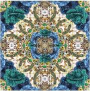 Opakowanie Karnet kwadrat z kopertą Blue Precious Rose