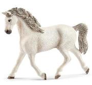 Opakowanie Klacz rasy Holszyńskiej