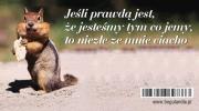 Magnes na lodówkę Jeśli prawdą jest, że jesteśmy. Wydawca: Bogulandia. Dadada.pl Opakowanie Magnes na lodówkę Jeśli prawdą jest, że jesteśmy
