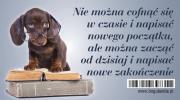 Magnes na lodówkę Nie można cofnąć się w czasie. Wydawca: Bogulandia. Dadada.pl Opakowanie Magnes na lodówkę Nie można cofnąć się w czasie