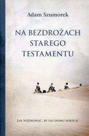 Okładka książki Na bezdrożach Starego Testamentu