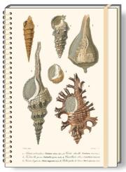 Opakowanie Notatnik ozdobny A5 koło BR (NB 012C)