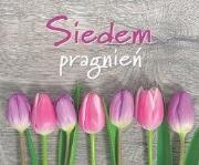 Perełka 131 Siedem pragnień. wyd. 2018. Autor: Opracowanie zbiorowe. Dadada.pl Okładka książki Perełka 131 Siedem pragnień. wyd. 2018