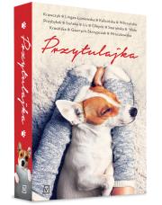 Przytulajka. Autor: Krawczyk Agnieszka, Lingas-Łoniewska Agnieszka, Kalicińska Małgorzata, Wilczyńska Karolina. Dadada.pl Okładka książki Przytulajka