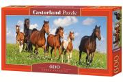 Puzzle 600 Horse Paradise. Wydawca: Castorland. Dadada.pl Opakowanie Puzzle 600 Horse Paradise