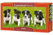 Puzzle 600 Jack Russell Terrier Puppies. Wydawca: Castorland. Dadada.pl Opakowanie Puzzle 600 Jack Russell Terrier Puppies