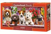 Puzzle 600 Puppies on a Shelf. Wydawca: Castorland. Dadada.pl Opakowanie Puzzle 600 Puppies on a Shelf