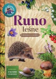 Runo leśne Młody obserwator przyrody. Autor: praca zbiorowa. Dadada.pl Okładka książki Runo leśne Młody obserwator przyrody