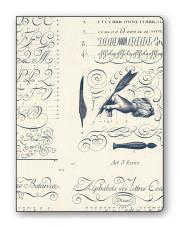 Opakowanie Teczka na dokumenty FF 536B