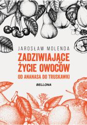 Zadziwiające życie owoców .Od ananasa do truskawki. Autor: Jarosław Molenda. Dadada.pl Okładka książki Zadziwiające życie owoców .Od ananasa do truskawki