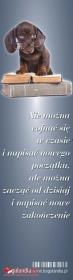 Zakładka do książki- Nie można cofnąć się w czasie. Wydawca: Bogulandia. Dadada.pl Opakowanie Zakładka do książki- Nie można cofnąć się w czasie