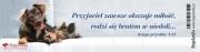 Zakładka do książki - Przyjaciel zawsze okazuje.... Wydawca: Bogulandia. Dadada.pl Opakowanie Zakładka do książki - Przyjaciel zawsze okazuje...